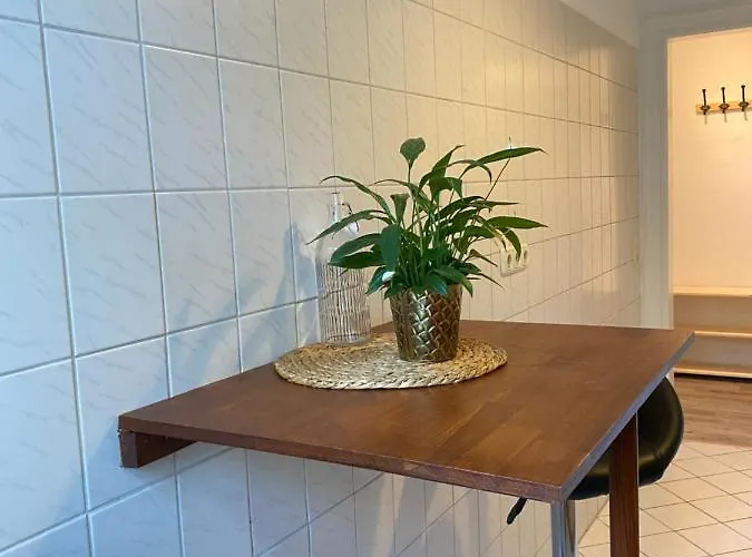 公寓 Holiday Apartment *